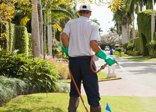 About Bethany WV Pest Control